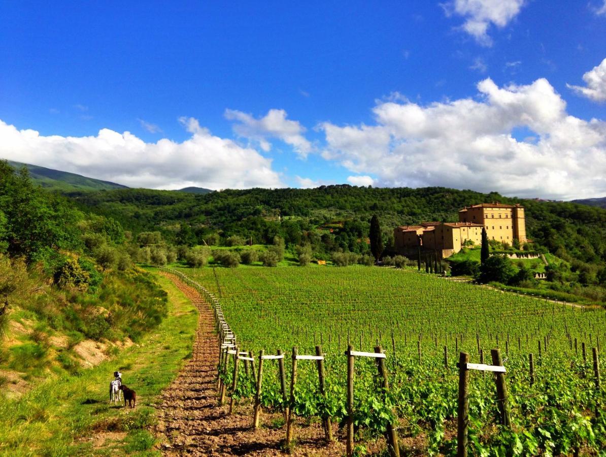 Castello Di Potentino Seggiano Exteriör bild